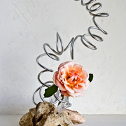 Ikebana-168_card