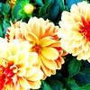 142_thumb