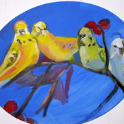 Birds_parekeets_card