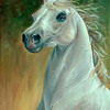 Horse_by_adanethiel_thumb