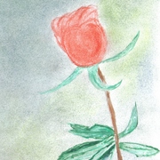 Red_rose_slight_pastel_background_card