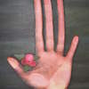 P3160020_thumb