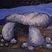 Pic_0006_square