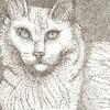Kittydots_thumb