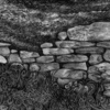 Detail_n