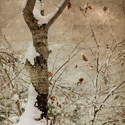 December_song_card