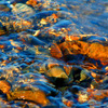 Img_4443_copy_thumb
