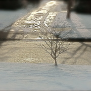 Snow4_card