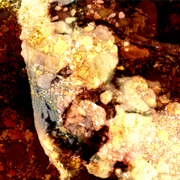 Bl7_card