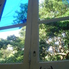 Dsc00009_thumb