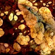 Bl12_card