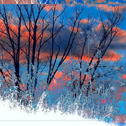 Red_dawn_card