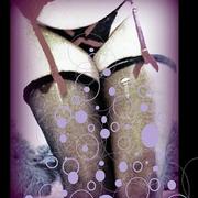 003pernasxbbsaleonline_card