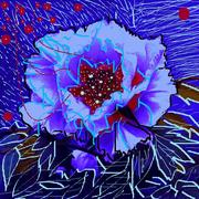 209639flor_card