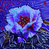 209639flor_thumb