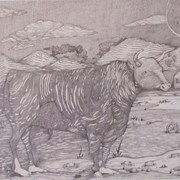 Dscf1120_card