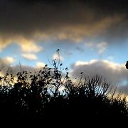 Dsc03790_card