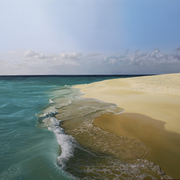 Mare80x100_card