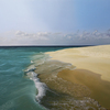 Mare80x100_thumb