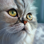 Maia33x44_card