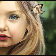 Farfalla_26x46_card