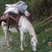 Blog_031_square