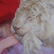 Tigre1_card
