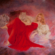 Madonna41123_card