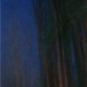1-900_card