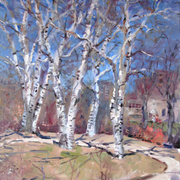 Birch_tree__18x24_card