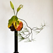 Ikebana-169_card