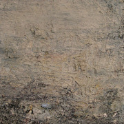 Reddscn4666_card