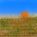 Field_morning__s_square