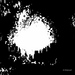 Dark_and_whitecp__s_square