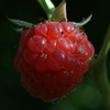 Img_2014_thumb