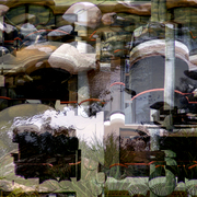 Water_flats_card