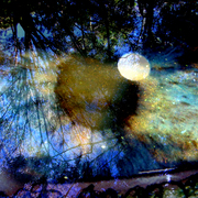 Water_eye_card