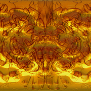Le_tigre_i_sm_card