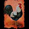 Rooster_small_thumb