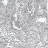 Chaotic_parts1_thumb