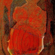 Venus1_card