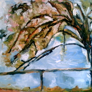 Stradasullago_card