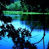 253_thumb