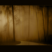 December_morn_card