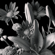 Mixedboquet-bw-post_card
