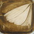 Dscn1475_tiny_square