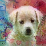 Puppy_love2_card