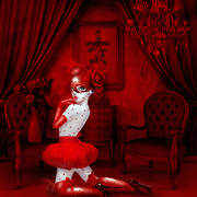F82z0116_card