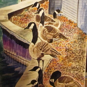 Geese__1_card