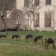 Ants_80_cm_card